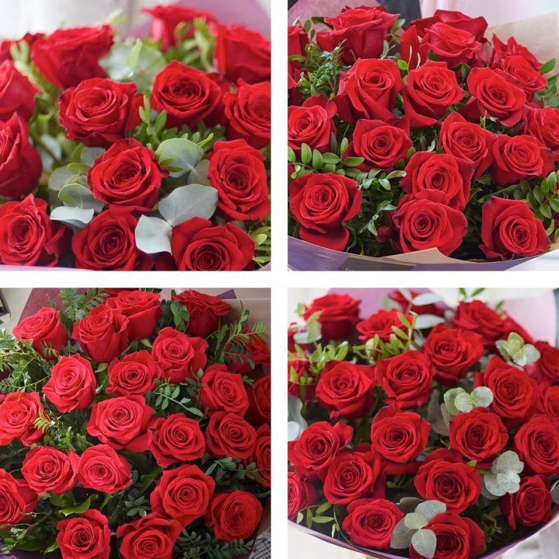 Aberdeen Roses 24 Sumptuous Red Roses