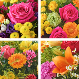 Special Bright Arrangement